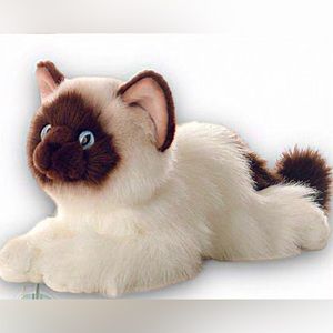 Aurora - Flopsie Bella Birman Cat plush blue‎ eyes stuff animal white brown